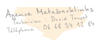 consultant referencement webmarketing