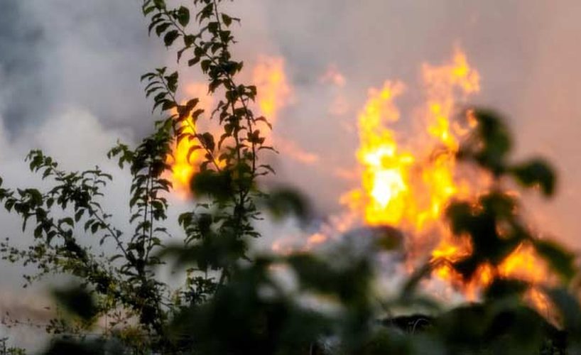 Incendie de végétation, type de sinistre expertisé par PMP Experts